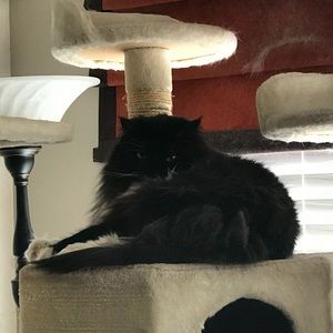 Meet your Posher, Judie